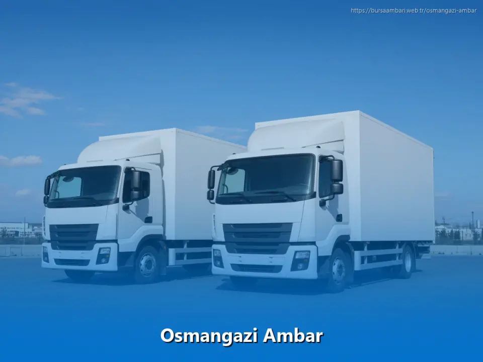Osmangazi Ambar