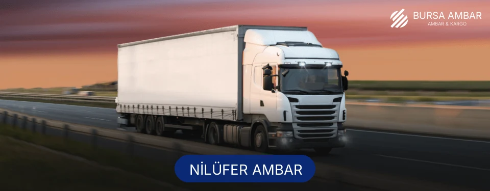 Nilüfer Ambar
