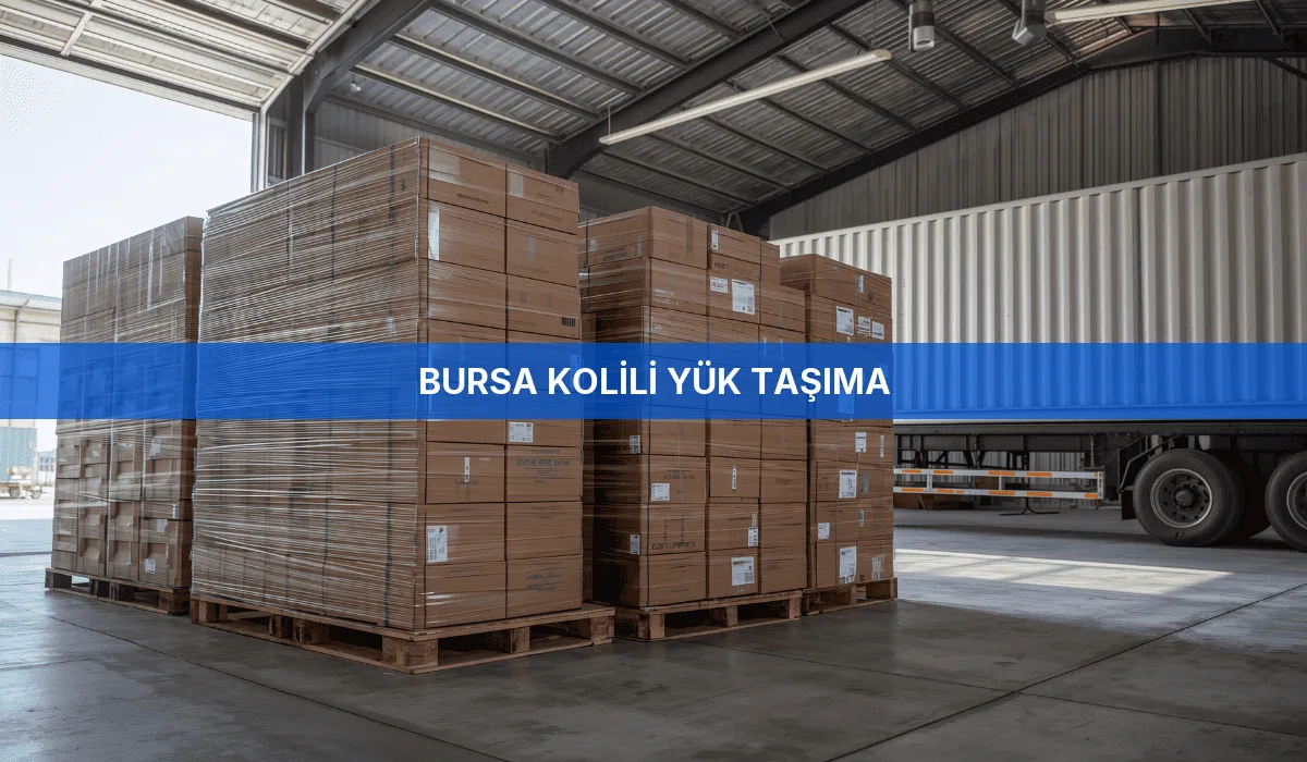Bursa Kolili Yük Taşıma